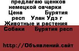 предлагаю щенков немецкой овчарки  › Цена ­ 7 000 - Бурятия респ., Улан-Удэ г. Животные и растения » Собаки   . Бурятия респ.